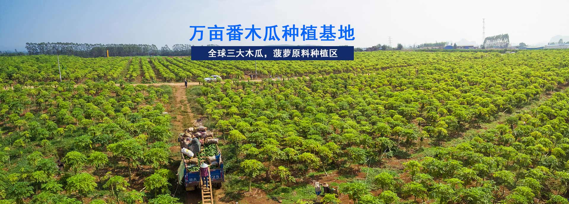 東恒華道-工業園占地5畝，生產車間10000㎡